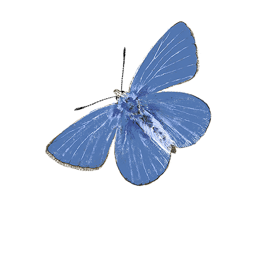 Tinytown-sticker-hollyblue